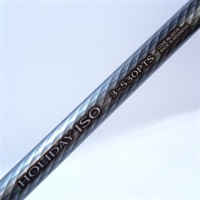 ホリデイイソ３ー５３０ＰＴＳ